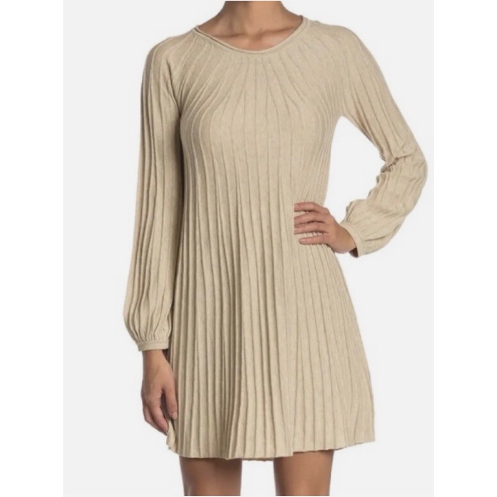 Max Studio Women's Long Sleeve A-line Sweater Dress in Hoatmeal